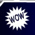 Winnipeg Car Pro - Flash intro and Flash header.