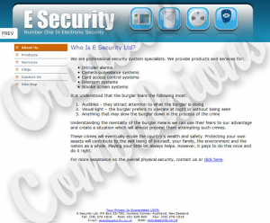 esecurity E Security