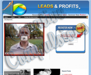 Leads And Profits WordPress Theme