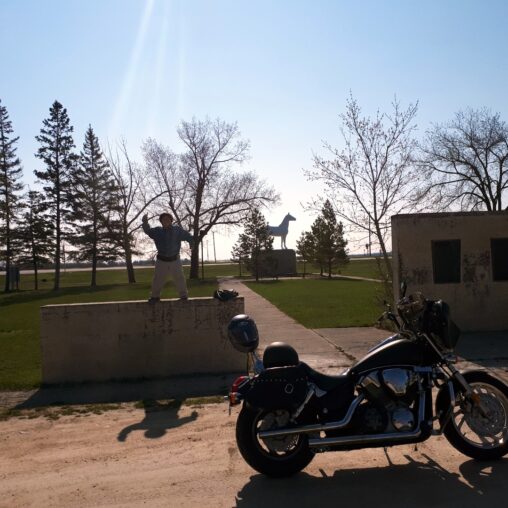 St. Francis Xavier's White Horse